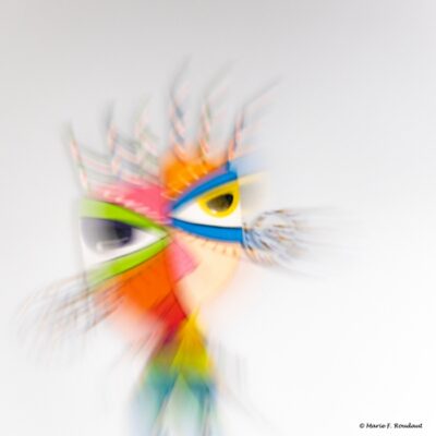 Photos-creatives-mai-soizic-photographie
