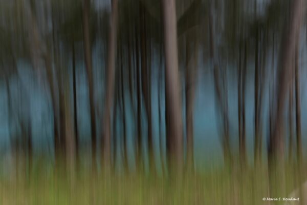 Photos-creatives-mai-soizic-photographie